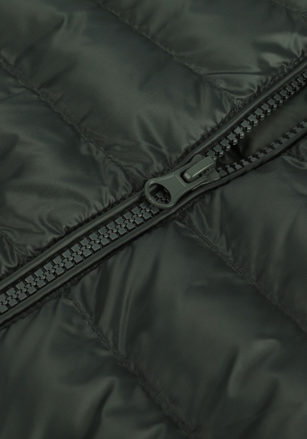 Gr&uuml;ne PROFUOMO Wattierte Jack PPTU1-A - large