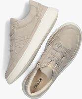 Graue TON & TON Sneaker low FELIPE - medium