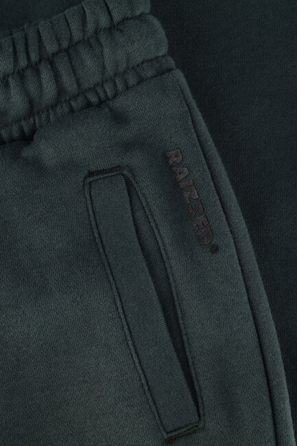 Grüne RAIZZED Jogginghose SHELBY - large