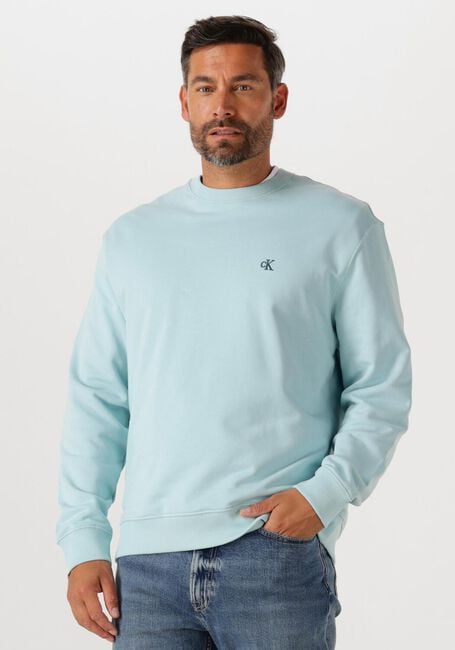 Hellblau CALVIN KLEIN Sweatshirt LS EU 350TERRY MONOGRAM CN SWEAT - large