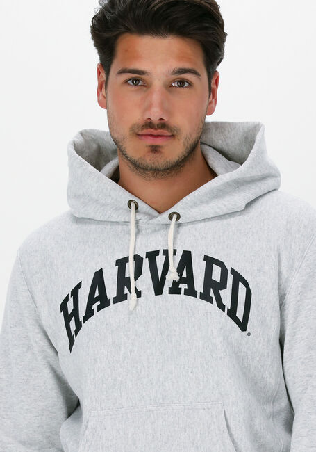 Hellgrau CHAMPION Sweatshirt HOODED SWEATSHIRT 218030 - large