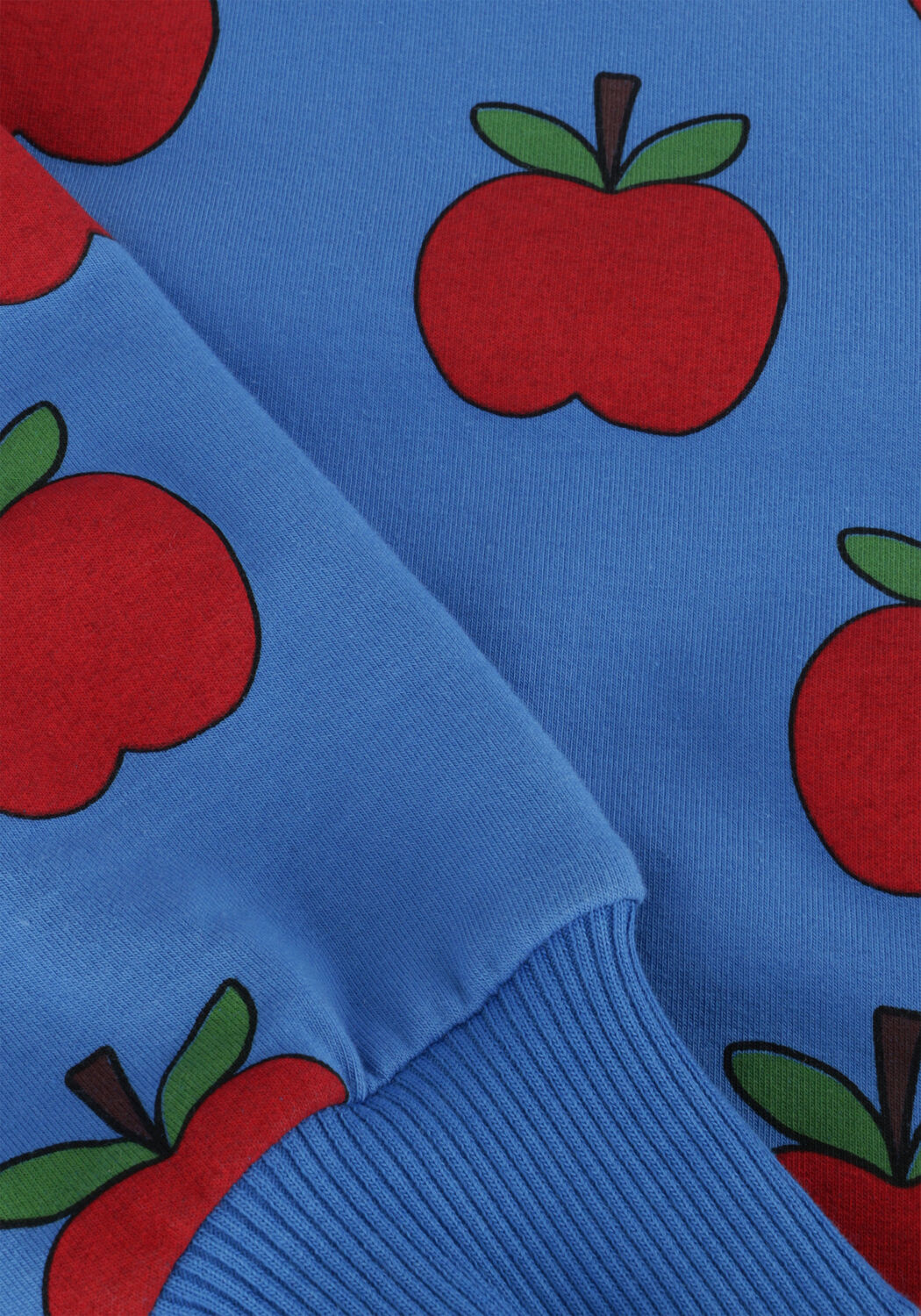 Blaue CARLIJNQ Sweatshirt APPLE-SWEATER (NEW STYLE) - large