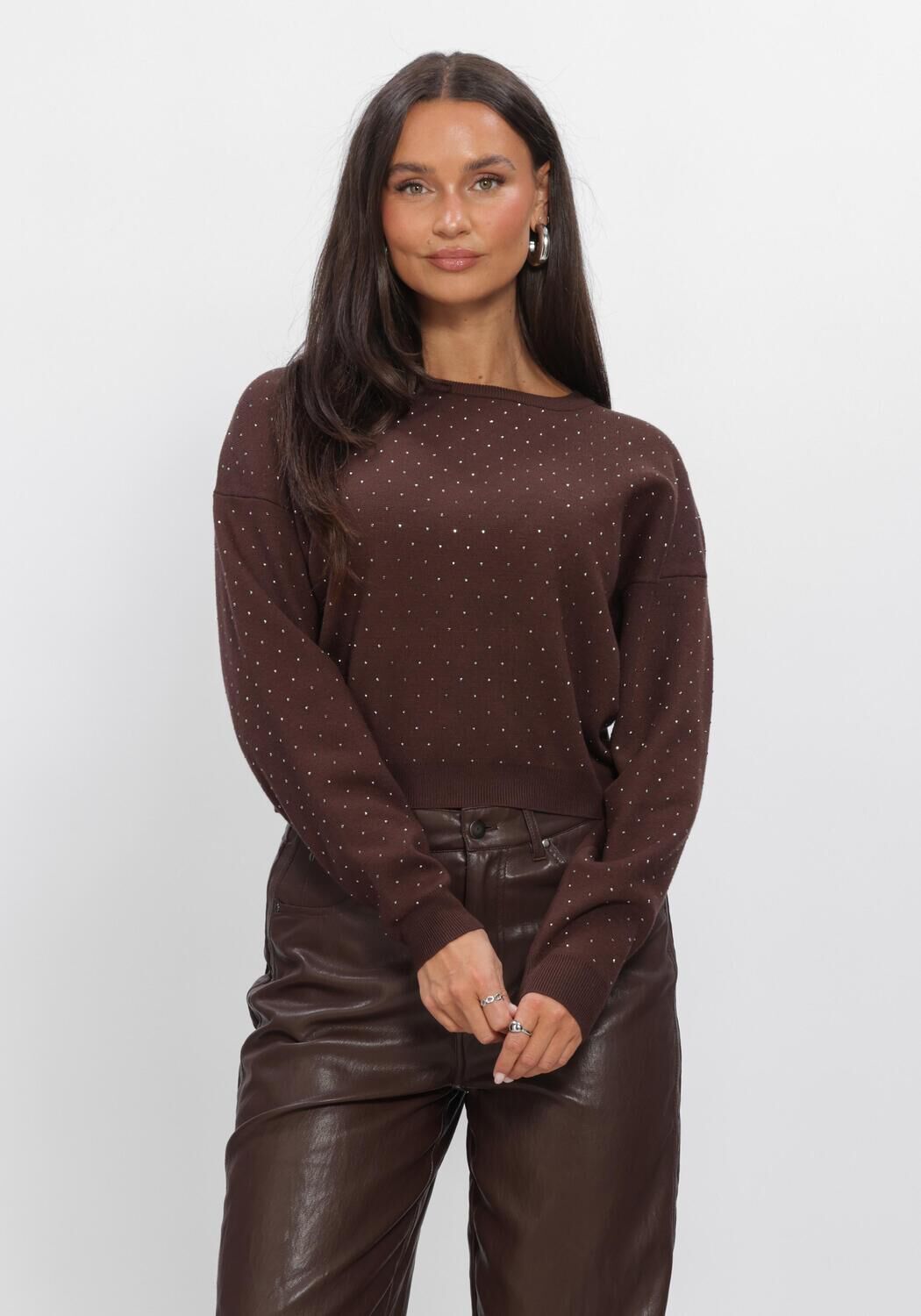 Braune AAIKO Pullover SAREN VIS 323 - large