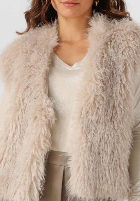 Beige BEAUMONT Gilet SOFIE GILET - large