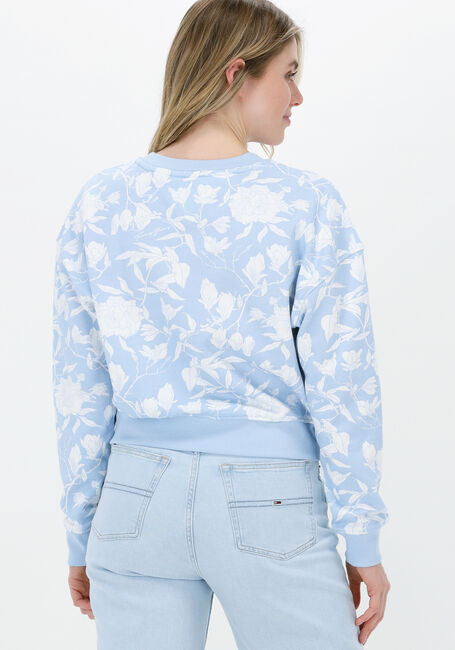 Hellblau TOMMY JEANS Pullover TJW AOP CREW - large