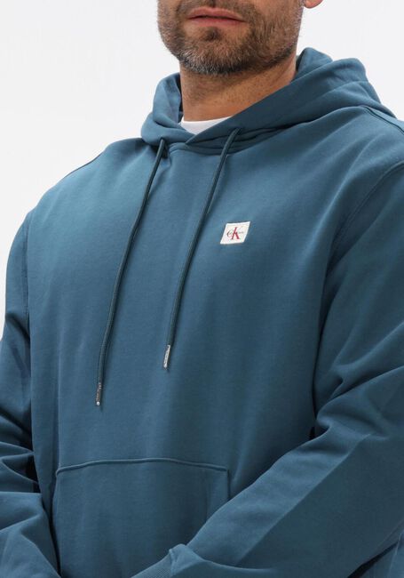 Blaue CALVIN KLEIN Sweatshirt LS 350TERRY EY WHSL BADGE HOODIE - large
