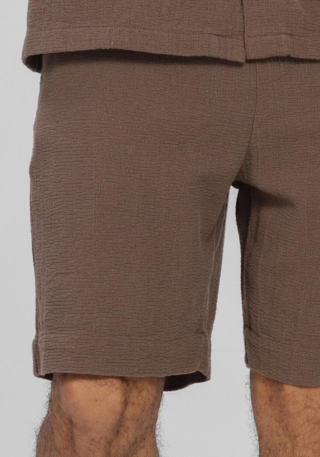 Braune SELECTED MEN Hosen SLHREGCAL SHORTS - large