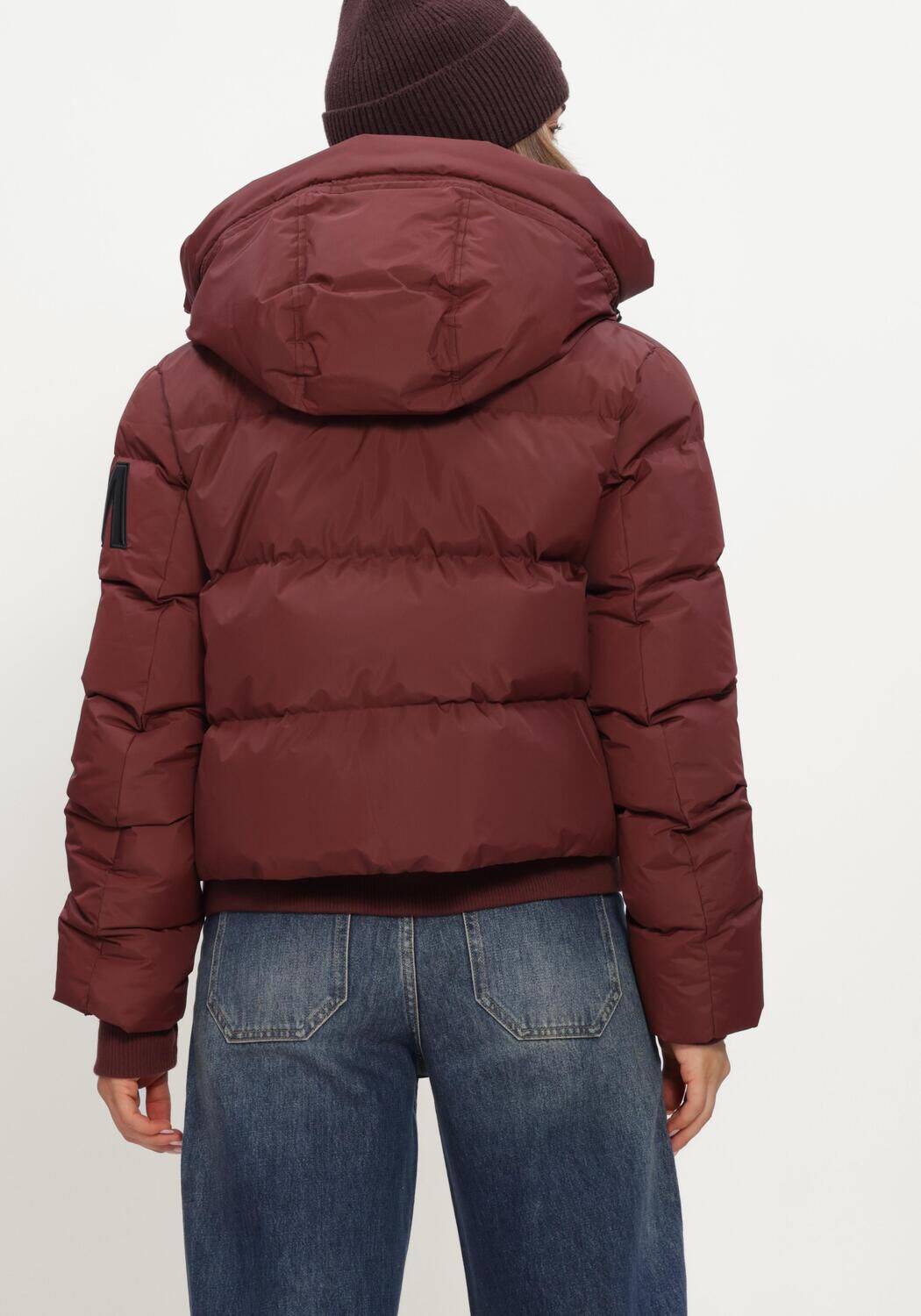 Bordeaux MOSCOW Wattierte Jack 22A-08-FUSSY - large