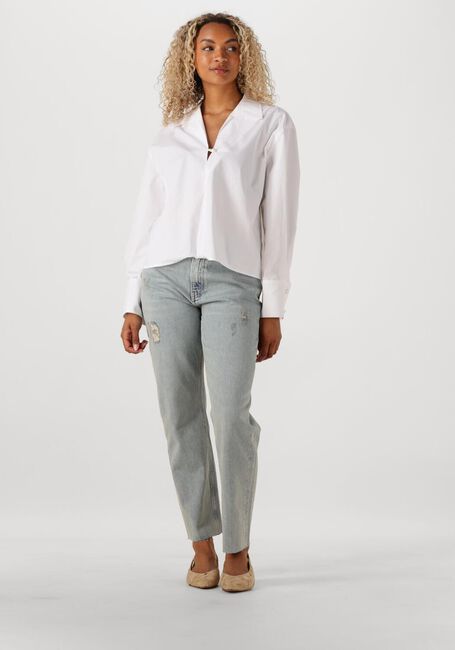 Hellblau IBANA Straight leg jeans PHELAN JEANS - large