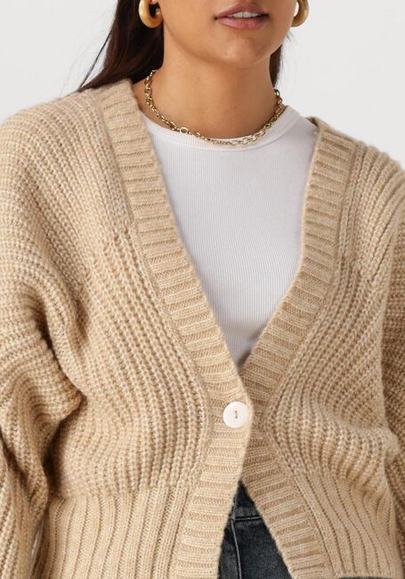 Beige NUKUS Pullover JOLIJN CARDIGAN - large