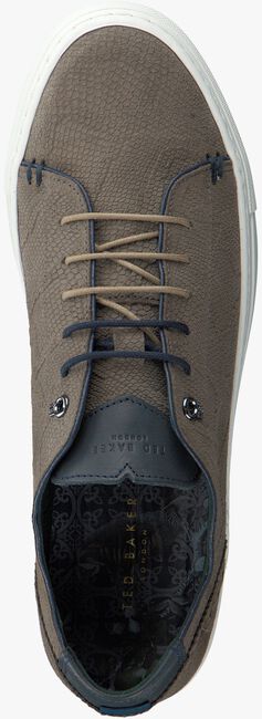Taupe TED BAKER Sneaker KIING - large