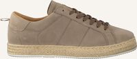 Taupe VERTON Sneaker Low 9933 - medium