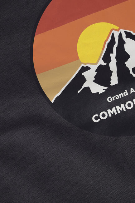 Graue COMMON HEROES Pullover 2232-8354 - large