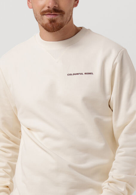 Nicht-gerade weiss COLOURFUL REBEL Sweatshirt CLRFL RBL BACK PRINT BASIC SWEAT - large