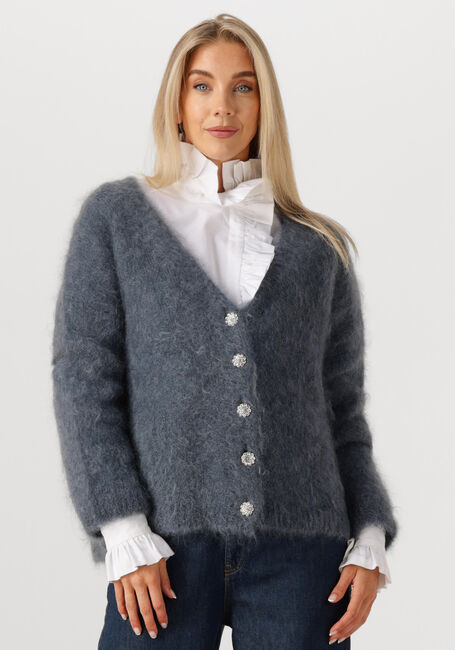 Dunkelgrau AMAYA AMSTERDAM Strickjacke ROOS KNITWEAR - large