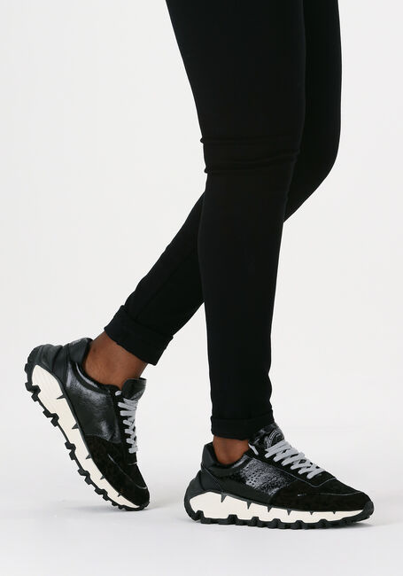 Schwarze P448 Sneaker Low JACKSON DAMES - large