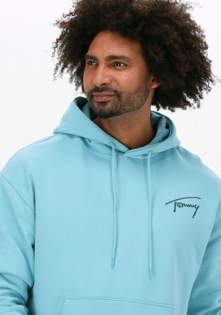 Hellblau TOMMY JEANS Sweatshirt TJM SIGNATURE HOODIE - large