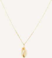 Goldfarbig NOTRE-V Kette KETTING SCHELP - medium