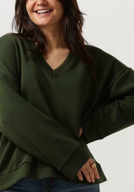 Grüne MSCH COPENHAGEN Sweatshirt MSCHPETUA LMA Q V SWEATSHIRT - large