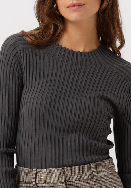 Graue AAIKO Langarmshirts BENTE VIS 300 - large