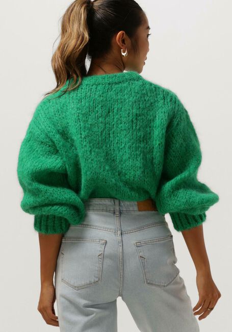 Grüne AMERICAN DREAMS Pullover LEONNIE ALPACA PULLOVER - large