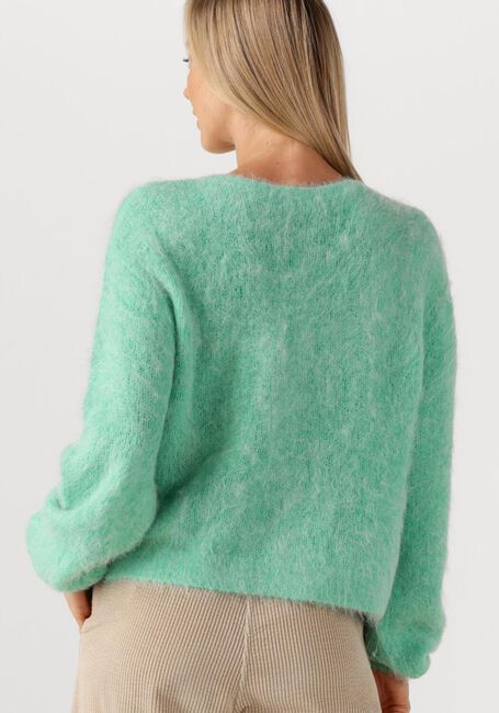 Minze AMERICAN VINTAGE Strickjacke NIBY - large