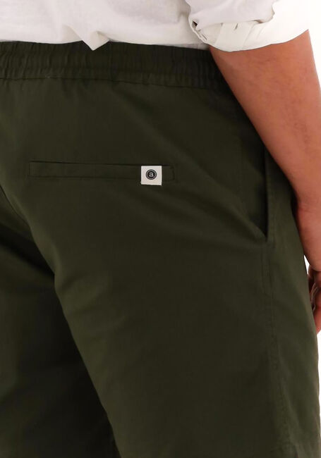 Dunkelgrün ANERKJENDT Kurze Hose AKLT JIMMY SHORTS - large