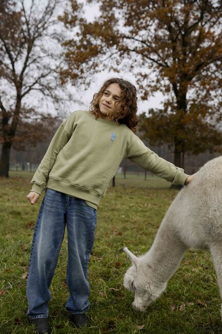 Grüne AMMEHOELA Sweatshirt ROCKY - large