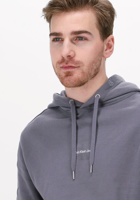 Graue CALVIN KLEIN Sweatshirt MONOGRAM LOGO HOODIE - large