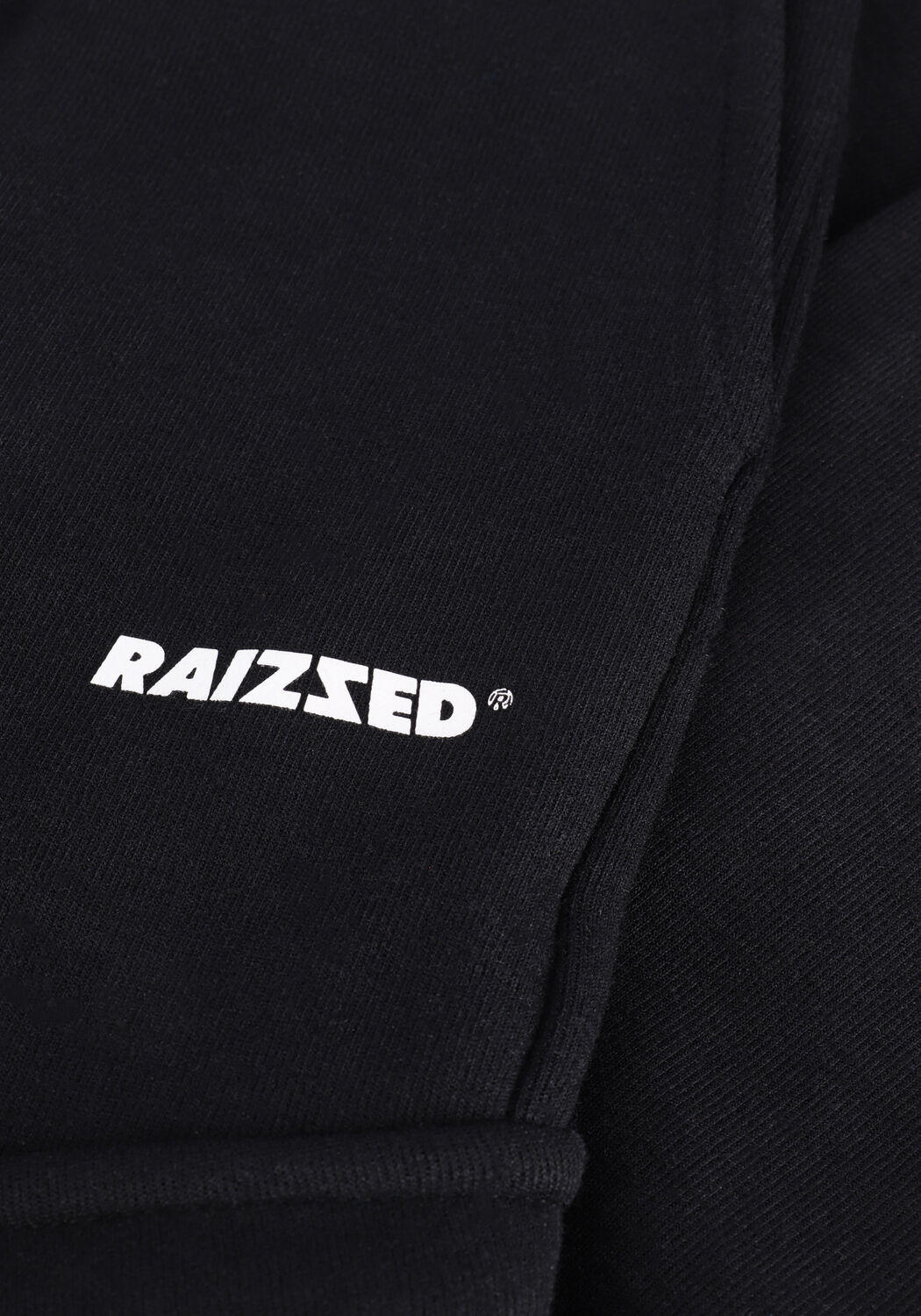 Schwarze RAIZZED Cargohosen SUMTER - large