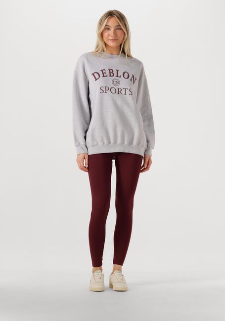 Hellgrau DEBLON SPORTS Sweatshirt LILOU SWEATER - large