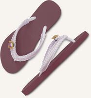 Bordeaux UZURII Zehentrenner PINK MACRAME SWITCH Bordeaux UZURII Zehentrenner PINK MACRAME SWITCH - medium