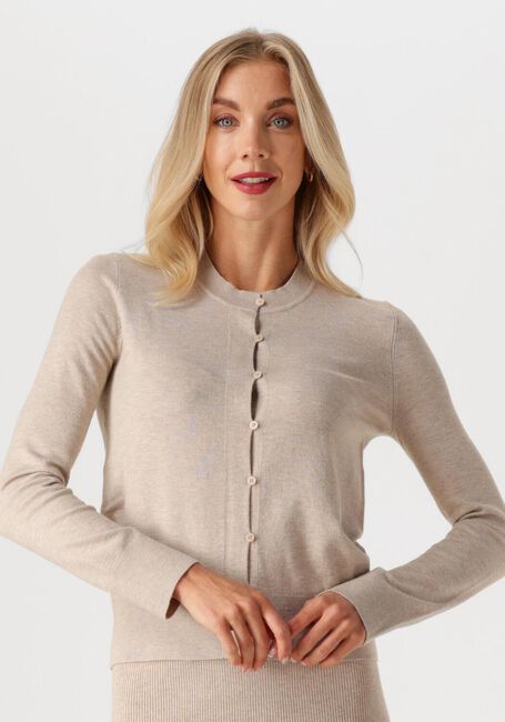 Beige INWEAR Strickjacke KELLSIEIW CARDIGAN - large