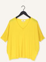 Gelbe NOT SHY Pullover AIMEE Gelbe NOT SHY Pullover AIMEE - medium