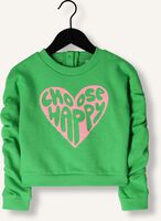 Grüne AMMEHOELA Sweatshirt AM-KATHY-02 Grüne AMMEHOELA Sweatshirt AM-KATHY-02 - medium