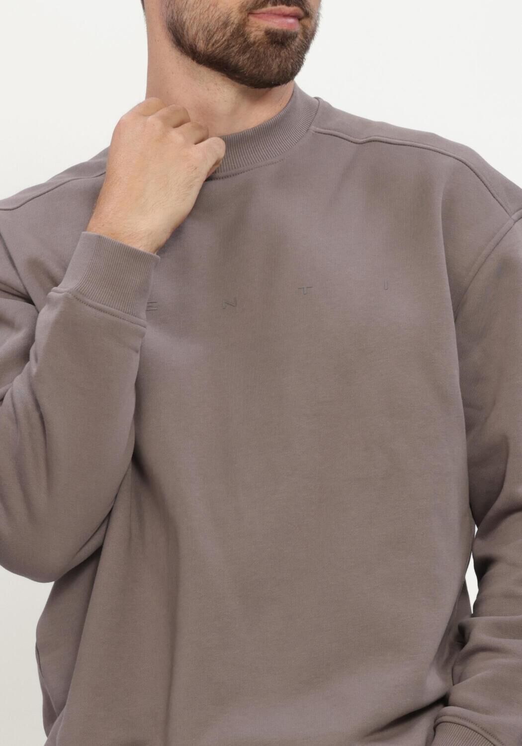 Taupe GENTI Pullover & Cardigans SWEAT CREW - large