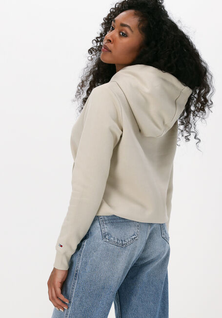 Sand TOMMY JEANS Sweatshirt TJW LINEAR LOGO HOODIE - large