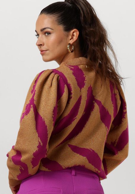 Braune POM AMSTERDAM Pullover PULLOVER - FEATHERS SPARKLE - large