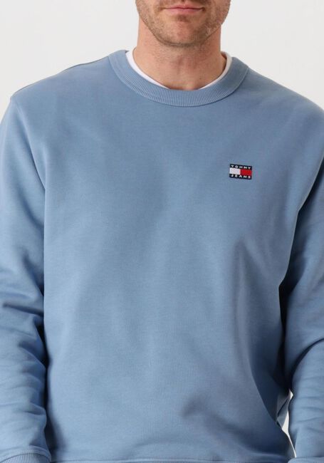 Blaue TOMMY JEANS Pullover TJM REG BADGE CREW EXT - large