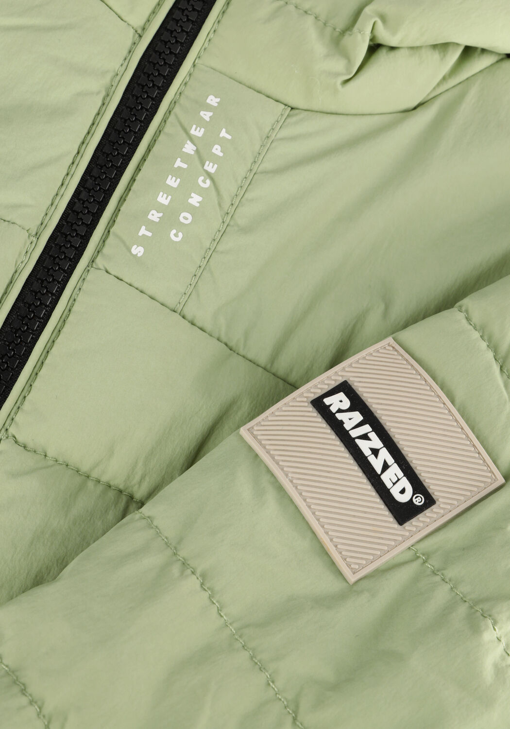 Gr&uuml;ne RAIZZED Jack THEODORE - large