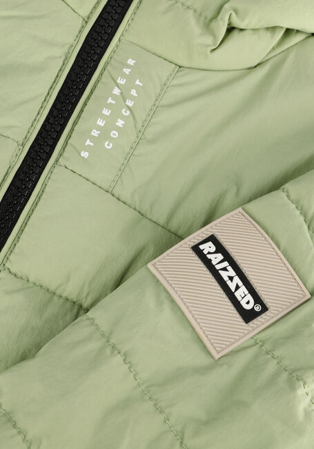 Grüne RAIZZED Jack THEODORE - large