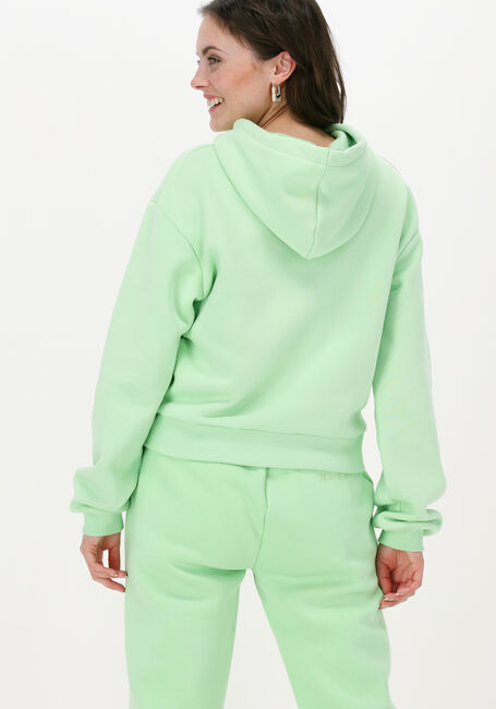 Grüne NA-KD Pullover ORGANIC LOGO BASIC HOODIE - large