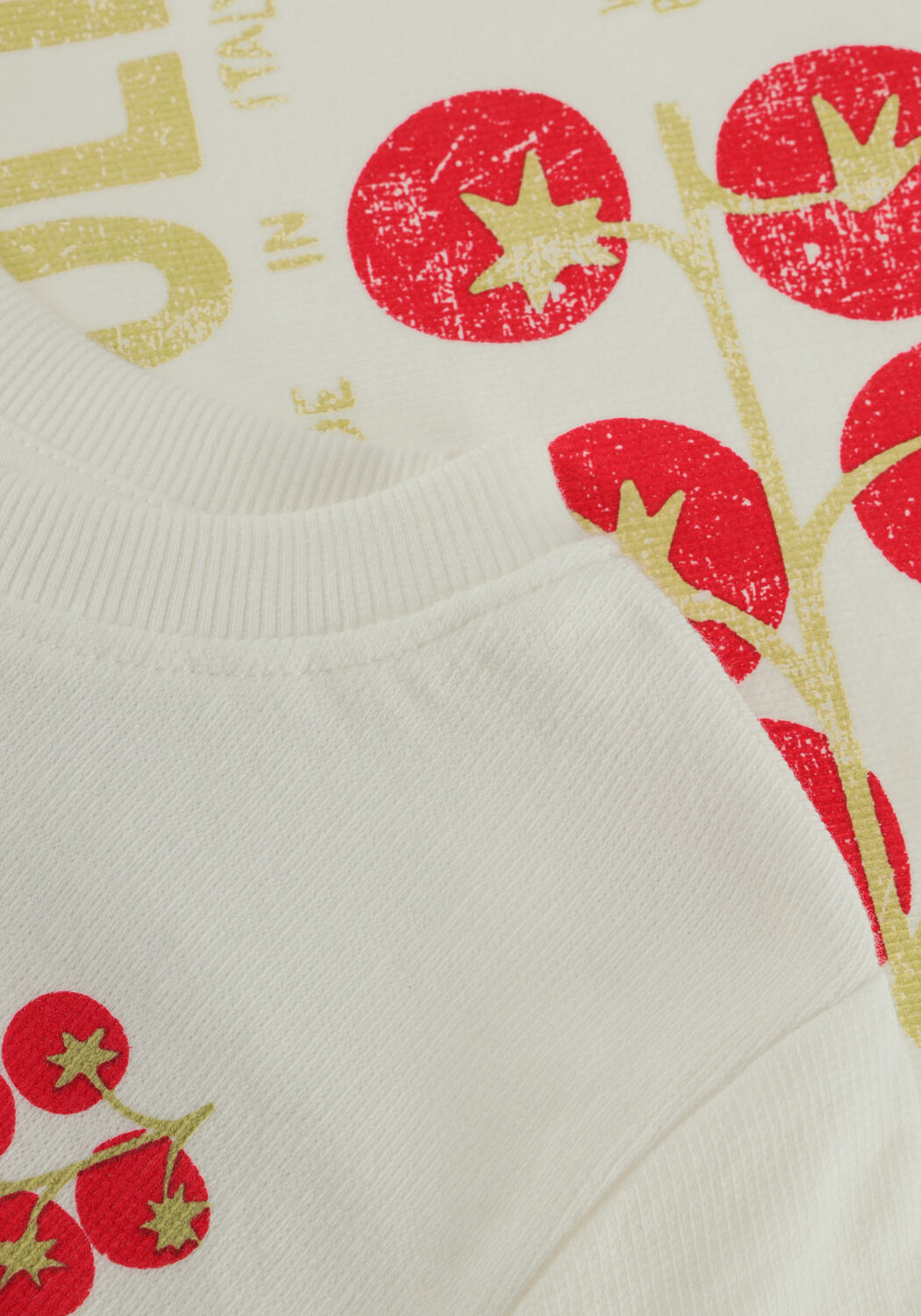 Ecru DAILY7 T-shirt T-SHIRT BACKPRINT - large