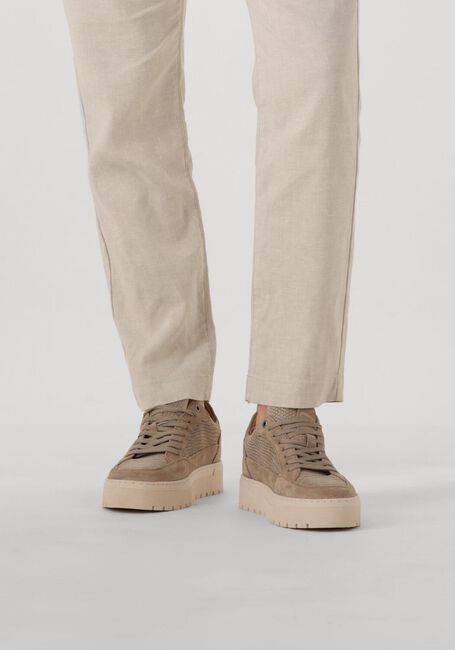 Taupe CLAY Sneaker Low LPIVAR-18 - large