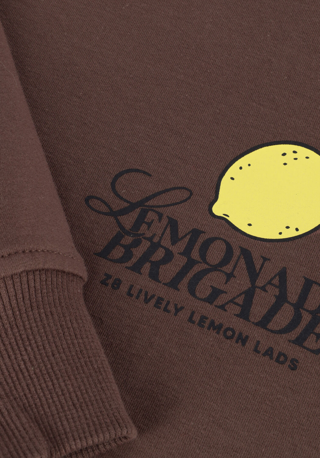 Braune Z8 Sweatshirt MARCELO - large