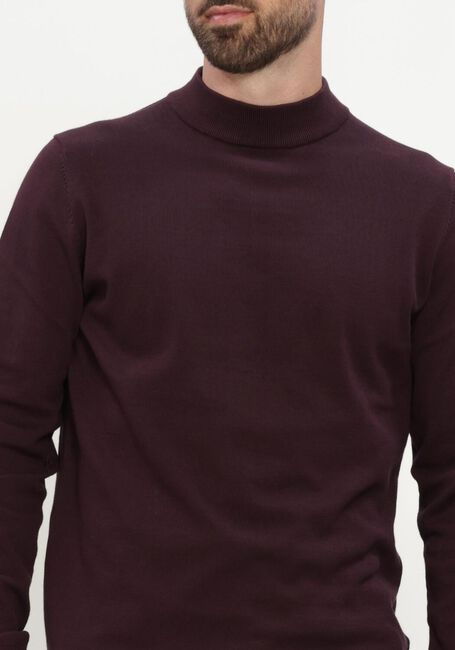 Bordeaux SAINT STEVE Pullover BEN - large