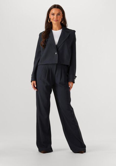 Dunkelblau CO'COUTURE Hose MARIN PLEAT LONG PANT - large