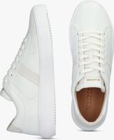 Weiße BLACKSTONE Sneaker low RYDER - medium