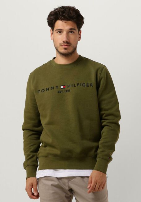 Dunkelgrün TOMMY HILFIGER Sweatshirt TOMMY LOGO SWEATSHIRT - large
