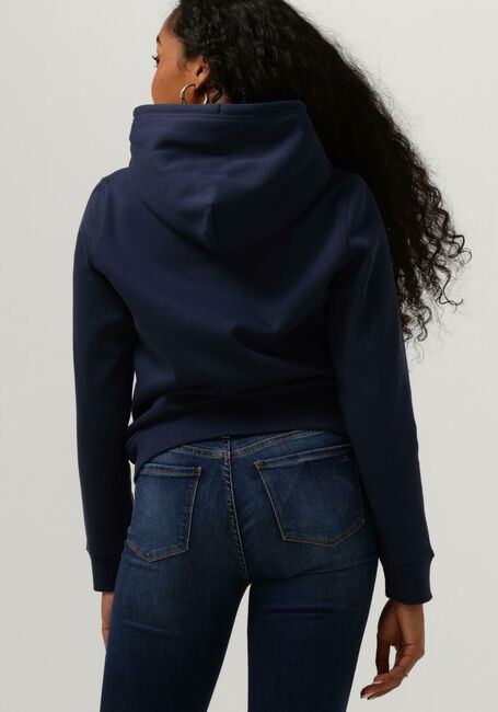 Blaue TOMMY JEANS Pullover TJW REGULAR FLEECE HOODIE - large